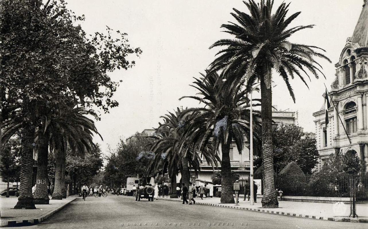 Sidi bel abbes 529- Bd Republique COLLECTION DES AMIS DE ND DE SANTA CRUZ.jpg